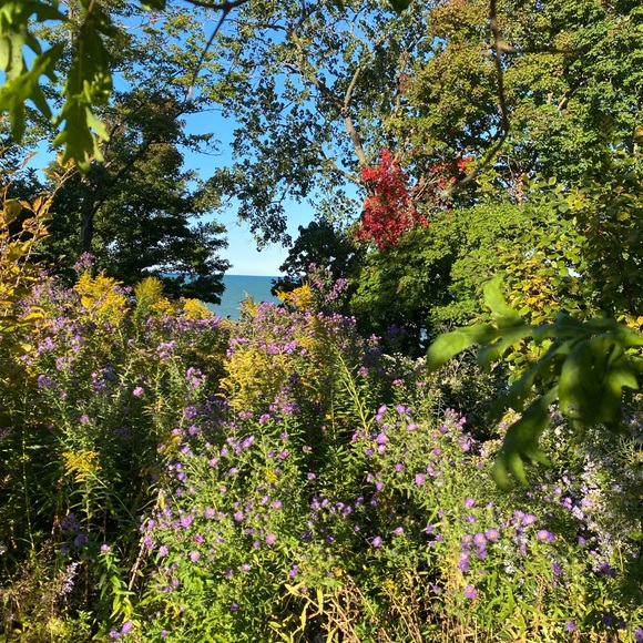 Meet your Posher, Emmy’s Edit - Picture 16 of 16